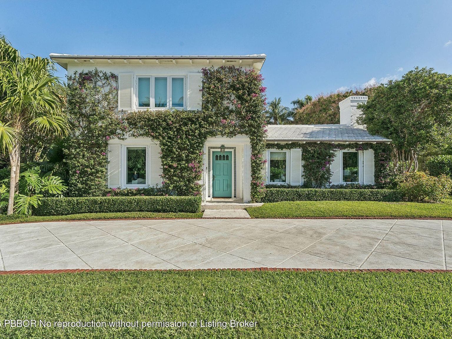 front elevation with ivy and palms