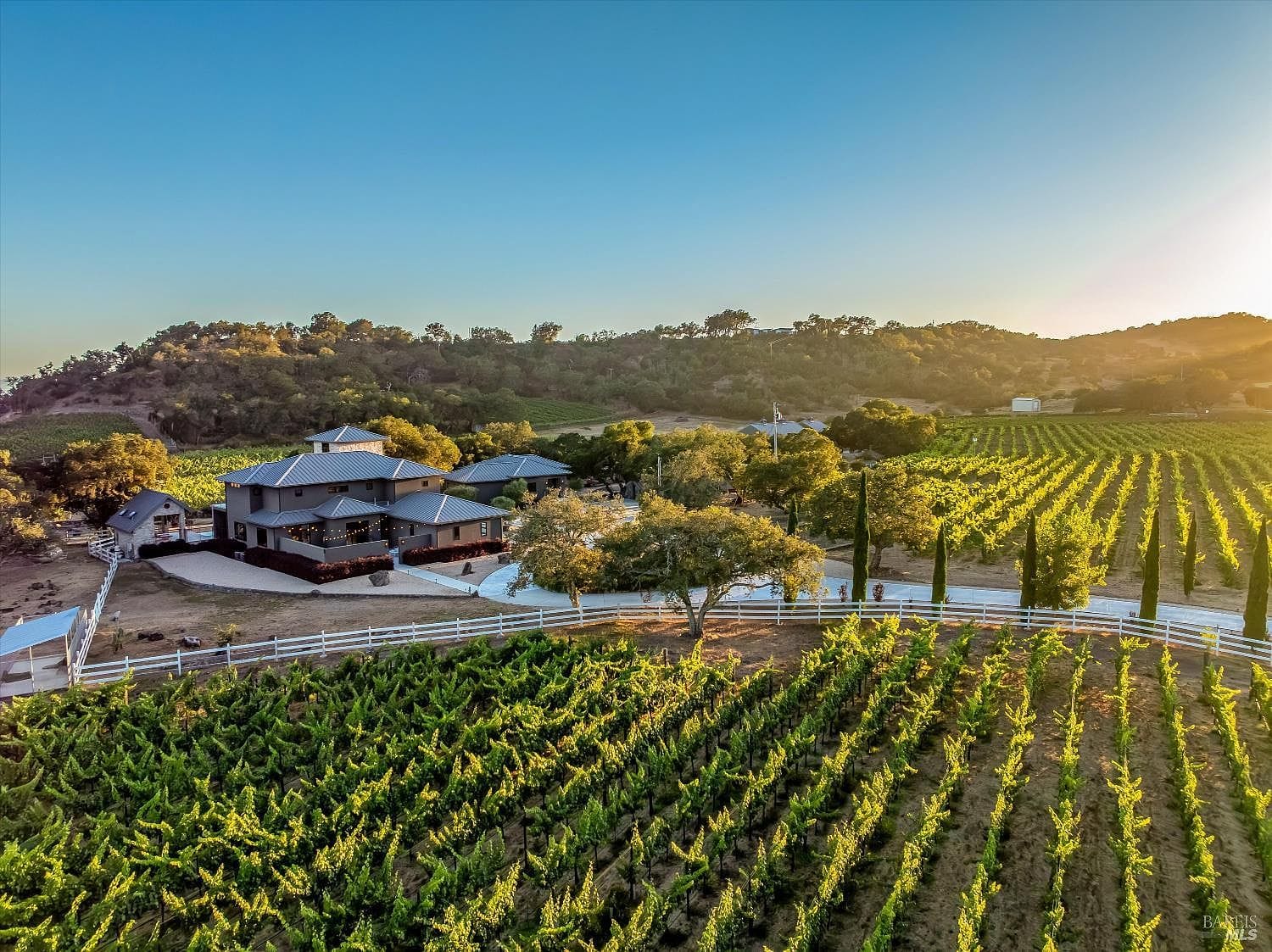 golden hour, the residence on its plateau above the vine rows